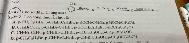 CH_3
xrightarrow Br_2/as* xrightarrow Br_2/Fe,t^oYxrightarrow ddNaOH _  NaOHn/c,t°, p
c Câu 6: Cho sơ đồ phản ứng sau :
X, Y, Z, T có công thức lần lượt là
A. p-CH_3C_6H_4Br, p-CH_2BrC_6H_4Br, p-HOCH_2C_6H_4Br, p-HOCH_2C_6H_4OH.
B. CH_2BrC_6H_5, p-CH_2Br-C_6H_4Br, p-HOCH_2C_6H_4Br, p-HOCH_2C_6H_4OH.
C. CH_2Br-C_6H_5, p-CH_2Br-C_6H_4Br, p-CH_3C_6H_4OH, p-CH_2OHC_6H_4OH.
D. p-CH_3C_6H_4Br, p-CH_2BrC_6H_4Br, p-CH_2BrC_6H_4OH, p-CH_2OHC_6H_4OH. HCl 7
NaOH d 1°