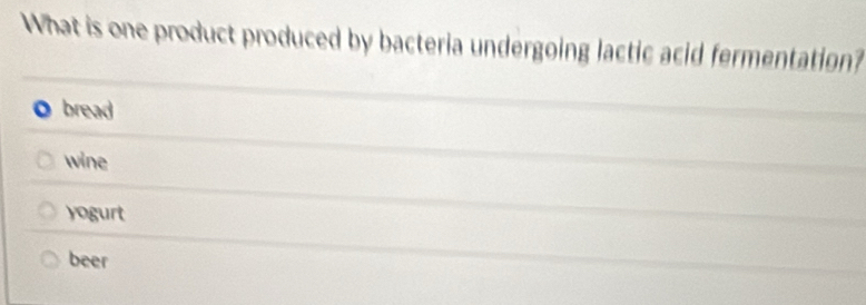 What is one product produced by bacteria undergoing lactic acid fermentation?
bread
wine
yogurt
beer