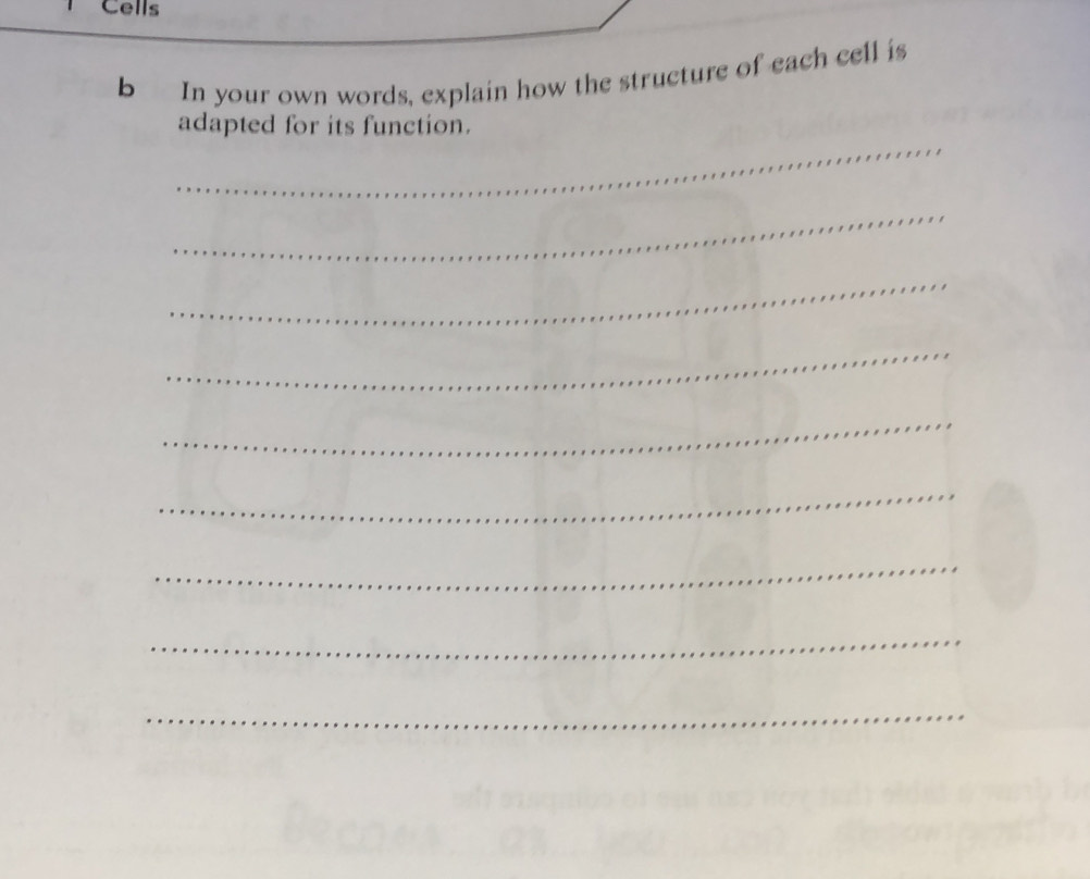 Cells 
b In your own words, explain how the structure of each cell is 
_ 
adapted for its function. 
_ 
_ 
_ 
_ 
_ 
_ 
_ 
_