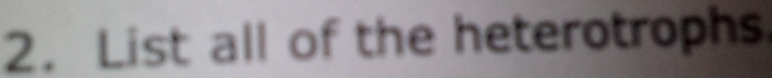 List all of the heterotrophs