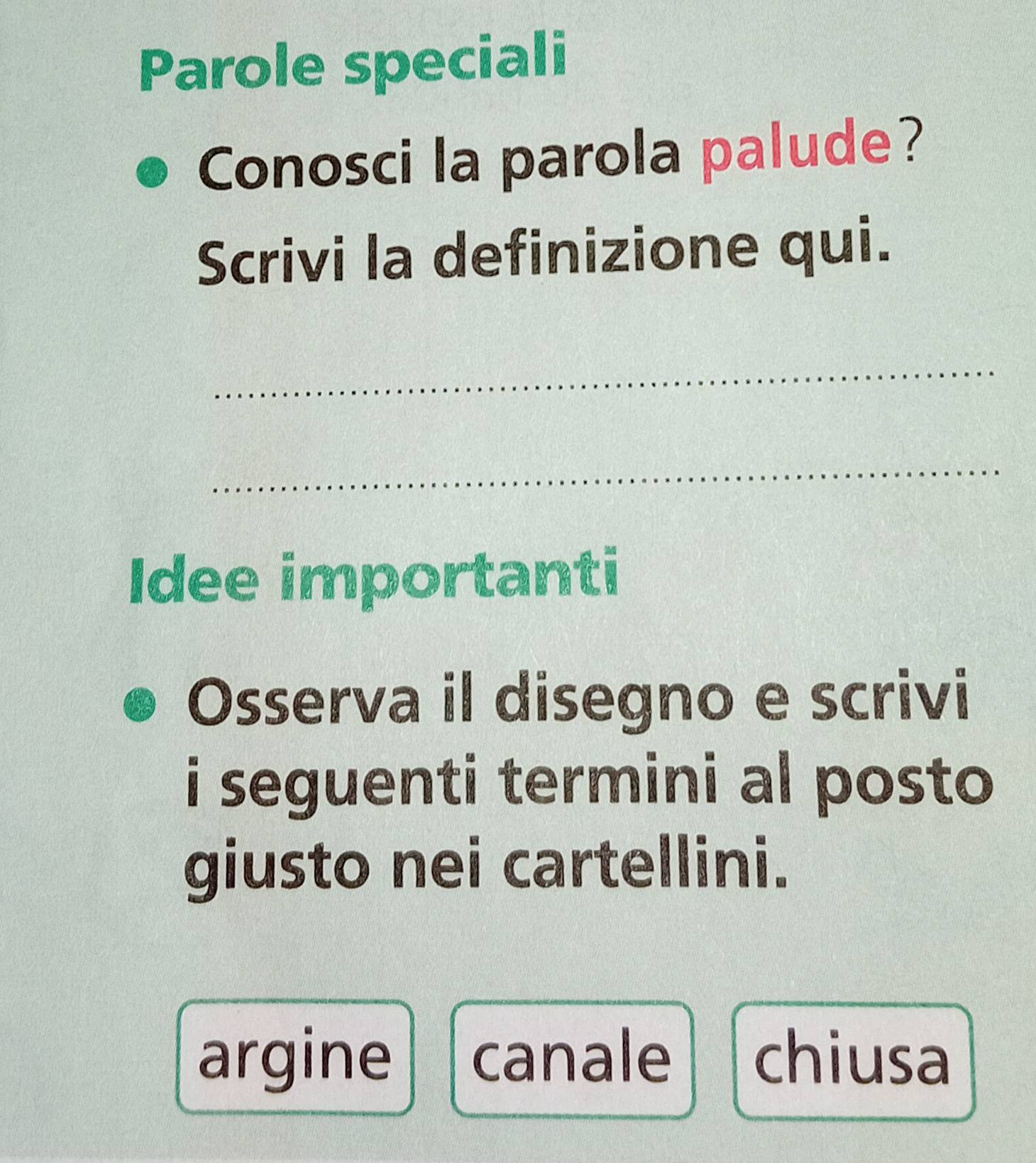 Parole speciali 
Conosci la parola palude? 
Scrivi la definizione qui. 
_ 
_ 
Idee importanti 
Osserva il disegno e scrivi 
i seguenti termini al posto 
giusto nei cartellini. 
argine canale chiusa