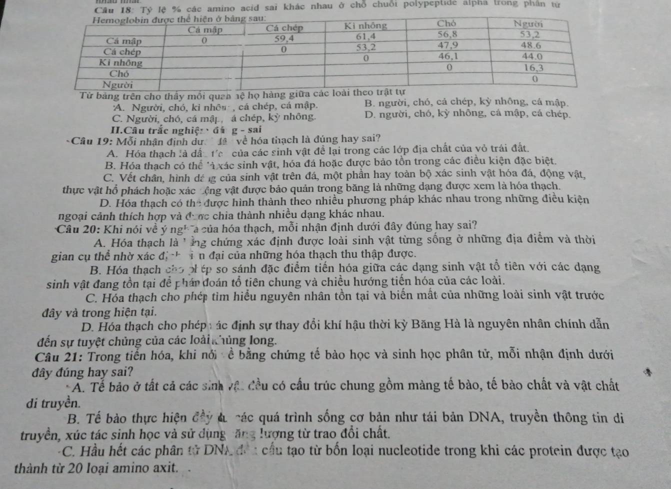 Tỷ lệ % các amino acid sai khác nhau ở chỗ chuỗi polypeptide alphá trong phần tử
Từ bảng trên cho thầy mồi quan hệ họ hàng giữ
A. Người, chó, kỉ nhêu , cá chép, cá mập. B. người, chó, cả chép, kỳ nhông, cá mập.
C. Người, chó, cá mập, á chép, kỳ nhông. D. người, chó, kỳ nhông, cá mập, cá chép.
II.Câu trắc nghiện đá g-Sa
Câu 19: Mỗi nhận định dư 1ª về hóa thạch là đúng hay sai?
A. Hóa thạch là dấ: tc của các sinh vật đề lại trong các lớp địa chất của vỏ trái đất.
B. Hóa thạch có thể *à xác sinh vật, hóa đá hoặc được bảo tồn trong các điều kiện đặc biệt.
C. Vết chân, hình dá ng của sinh vật trên đá, một phần hay toàn bộ xác sinh vật hóa đá, động vật,
thực vật hổ phách hoặc xác động vật được bảo quản trong băng là những dạng được xem là hóa thạch.
D. Hóa thạch có thể được hình thành theo nhiều phương pháp khác nhau trong những điều kiện
ngoại cảnh thích hợp và được chia thành nhiều dạng khác nhau.
Câu 20: Khi nói về ý ngh a của hóa thạch, mỗi nhận định dưới đây đúng hay sai?
A. Hóa thạch là ' ằng chứng xác định được loài sinh vật từng sống ở những địa điểm và thời
gian cụ thể nhờ xác đị ch in đại của những hóa thạch thu thập được.
B. Hóa thạch cho phép so sánh đặc điểm tiến hóa giữa các dạng sinh vật tổ tiên với các dạng
sinh vật đang tồn tại để phán đoán tổ tiên chung và chiều hướng tiến hóa của các loài.
C. Hóa thạch cho phép tìm hiểu nguyên nhân tồn tại và biến mất của những loài sinh vật trước
đây và trong hiện tại.
D. Hóa thạch cho phép : ác định sự thay đổi khí hậu thời kỳ Băng Hà là nguyên nhân chính dẫn
đến sự tuyệt chủng của các loài Khủng long.
Câu 21: Trong tiến hóa, khi nới :ề bằng chứng tế bào học và sinh học phân tử, mỗi nhận định dưới
đây đúng hay sai?
Ấ. Tể bảo ở tất cả các sinh vật đầu có cấu trúc chung gồm màng tế bào, tế bào chất và vật chất
di truyền.
B. Tế bào thực hiện đây d. các quá trình sống cơ bản như tái bản DNA, truyền thông tin di
truyền, xúc tác sinh học và sử dụng ăng lượng từ trao đổi chất.
C. Hầu hết các phân tử DNA đe1 cầu tạo từ bốn loại nucleotide trong khi các protein được tạo
thành từ 20 loại amino axit. .