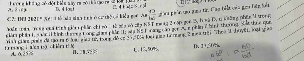 thường không có đột biến xảy ra có thể tạo ra số loại giao tự
A. 2 loại B. 4 loại C. 4 hoặc 8 loại DJ 2 hoạc 4 1 ạ
C7: ĐH 2021* Xét 4 tế bào sinh tinh ở cơ thể có kiều gen Aa  BD/bd  giảm phân tạo giao tử. Cho biết các gen liên kết
hoàn toàn, trong quá trình giảm phân chi có 1 tế bào có cặp NST mang 2 cặp gen B, b và D, d không phân li trong
giảm phân I, phân li bình thường trong giảm phân II; cặp NST mang cặp gen A, a phân li bình thường. Kết thúc quá
trình giảm phân đã tạo ra 6 loại giao tử, trong đó có 37,50% loại giao từ mang 2 alen trội. Theo lí thuyết, loại giao
tử mang 1 alen trội chiếm tỉ lệ
A. 6, 25%. B. 18,75%. C. 12,50%.
D. 37,50%.