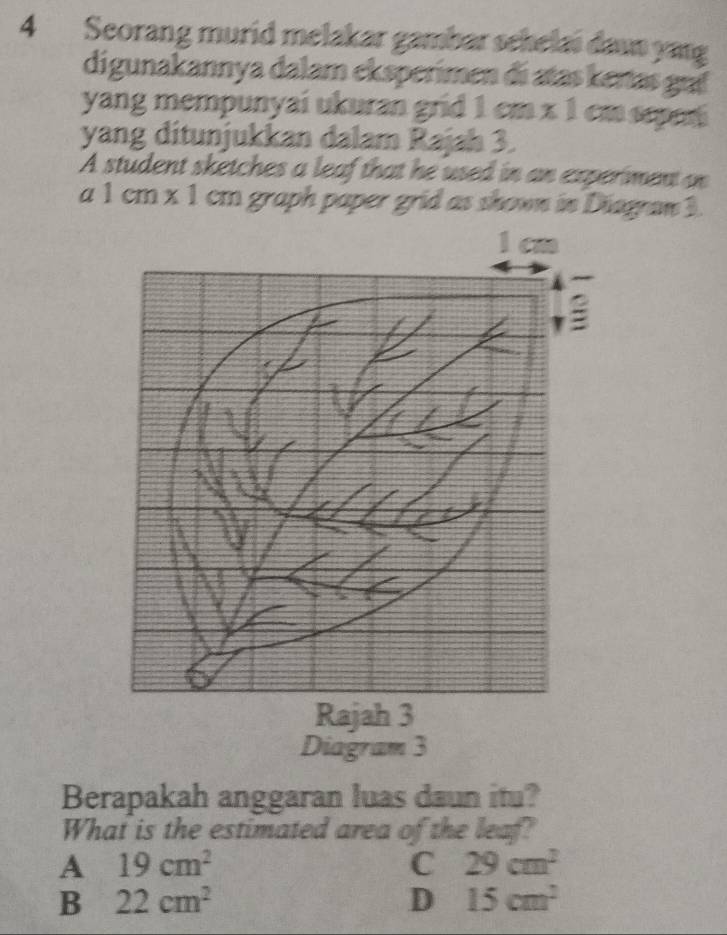 Seorang murid melakar gambar schelai dawn yang
digunakannya dalam eksperimen di atas kertas gui
yang mempunyai ukuran grid 1cm* 1 ca scựcó
yang ditunjukkan dalam Rajah 3.
A student sketches a leaf that he used in an experiment on
a1cm* 1 cm graph paper grid as shown in Diagran 3.
Berapakah anggaran luas daun itu?
What is the estimated area of the leaf?
A 19cm^2
C 29cm^2
B 22cm^2
D 15cm^2