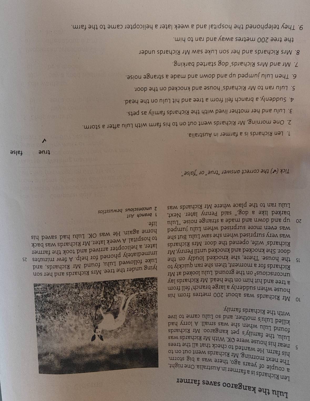 Lulu the kangaroo saves farmer
Len Richards is a farmer in Australia. One night,
a couple of years ago, there was a big storm.
The next morning, Mr Richards went out on to
his farm. He wanted to check that all the trees
5 near his house were OK. With Mr Richards was
Lulu, the family's pet kangaroo. Mr Richards
found Lulu when she was small. A lorry had
killed Lulu's mother, and so Lulu came to live
with the Richards family.
10 Mr Richards was about 200 metres from his
house when suddenly a large branch' fell from
a tree and hit him on the head. Mr Richards lay
unconsciou S^2 on the ground. Lulu looked at Mr
Richards for a moment, then she ran quickly to lying under the tree. Mrs Richards and her son
15 the house. There, she knocked loudly on the Luke followed Lulu, found Mr Richards, and
door. She knocked and knocked until Penny, Mr immediately phoned for help. A few minutes 25
Richards’ wife, opened the door. Mrs Richards later, a helicopter arrived and took the farmer
was very surprised when she saw Lulu. But she to hospital. A week later, Mr Richards was back
was even more surprised when Lulu jumped home again. He was OK. Lulu had saved his
20 up and down and made a strange noise. “Lulu life.
barked like a dog," said Penny later. Next, 1 branch Ast
Lulu ran to the place where Mr Richards was 2 unconscious bewusstlos
Tick (✔) the correct answer “true” or “false”.
true false
1. Len Richards is a farmer in Australia.
2. One morning, Mr Richards went out on to his farm with Lulu after a storm.
3. Lulu and her mother lived with the Richards family as pets.
4. Suddenly, a branch fell from a tree and hit Lulu on the head.
5. Lulu ran to Mr Richards’ house and knocked on the door.
6. Then Lulu jumped up and down and made a strange noise.
7. Mr and Mrs Richards’ dog started barking.
8. Mrs Richards and her son Luke saw Mr Richards under
the tree 200 metres away and ran to him.
9. They telephoned the hospital and a week later a helicopter came to the farm.