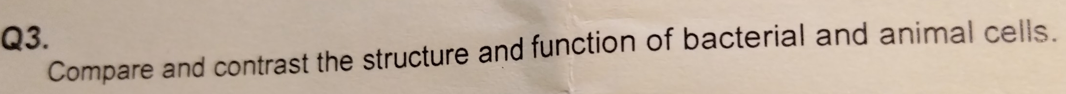 Compare and contrast the structure and function of bacterial and animal cells.