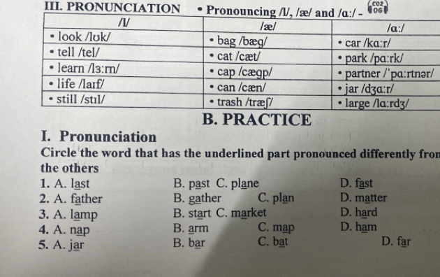 PRONUNCIATION L co2
B. PRACTICE
I. Pronunciation
Circle the word that has the underlined part pronounced differently from
the others
1. A. last B. past C. plane D. fast
2. A. father B. gather C. plan D. matter
3. A. lamp B. start C. market D. hard
4. A. nap B. arm C. map D. ham
5. A. jar B. bar C. bat D. far