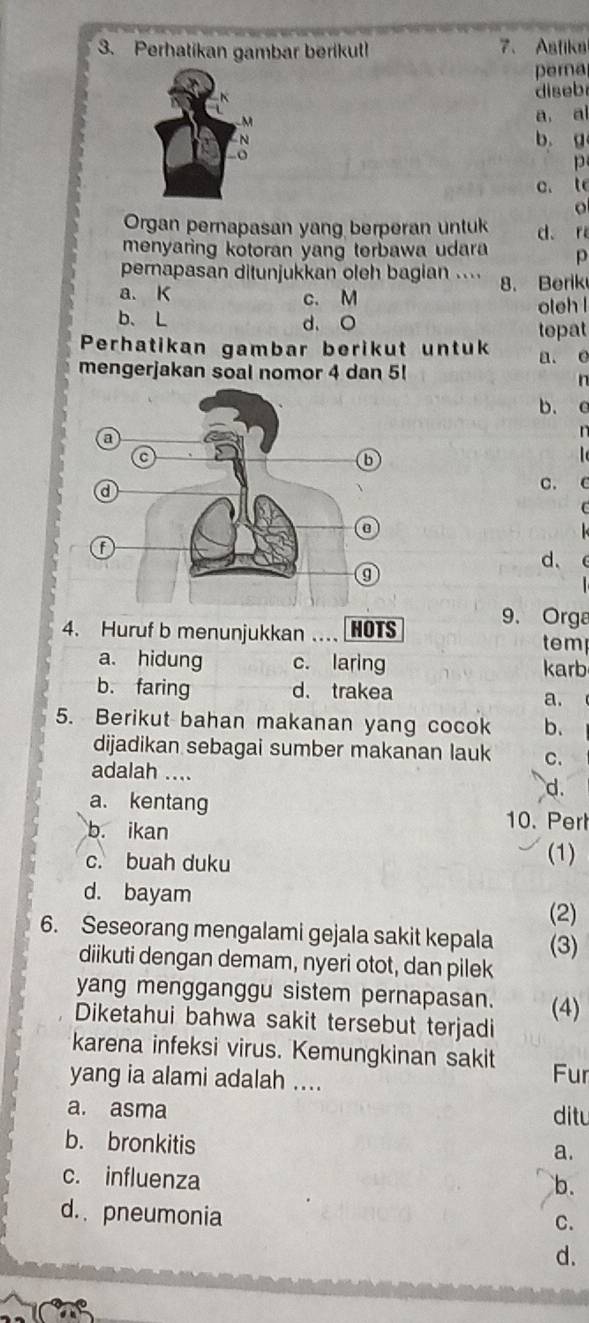 Perhatikan gambar berikuth 7、 Astika
pera
diseb
M
a, a
N
b g
-。
p
c. t
o
Organ pernapasan yang berperan untuk
menyaring kotoran yang terbawa udara d. r
p
pernapasan ditunjukkan oleh bagian ....
a. K c. M 8. Berik
oleh l
b、 L d. O tepat
Perhatikan gambar berikut untuk
mengerjakan soal nomor 4 dan 5! a. e
In
b. c

a
C.
(
f
d、
4. Huruf b menunjukkan …… HOTS
9、 Orga
tem
a. hidung c. laring karb
b. faring d. trakea
a.
5. Berikut bahan makanan yang cocok b.
dijadikan sebagai sumber makanan lauk C.
adalah .... d.
a. kentang
b. ikan 10. Per
c. buah duku (1)
d. bayam
(2)
6. Seseorang mengalami gejala sakit kepala (3)
diikuti dengan demam, nyeri otot, dan pilek
yang mengganggu sistem pernapasan.
Diketahui bahwa sakit tersebut terjadi (4)
karena infeksi virus. Kemungkinan sakit Fur
yang ia alami adalah ....
a. asma ditu
b. bronkitis
a.
c. influenza
b.
d. pneumonia
C.
d.