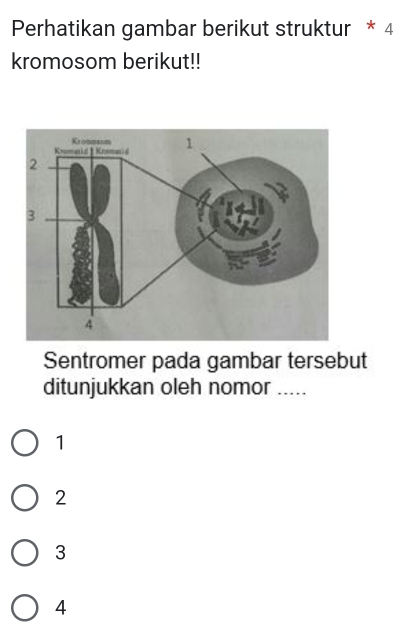 Perhatikan gambar berikut struktur * 4
kromosom berikut!!
Sentromer pada gambar tersebut
ditunjukkan oleh nomor .....
1
2
3
4