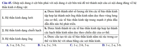 Ghép nội dung ở cột bên phải với nội dung ở cột bên trái để trở thành một câu có nội dung đúng về hệ
thần kinh ở động vật:
A. 1 -a, 2-b, 3 -c. B. 1 -a, 2 -c, 3 -b. C. 1-c, 2-b, 3-a. D. 1-c, 2-a, 3-b.