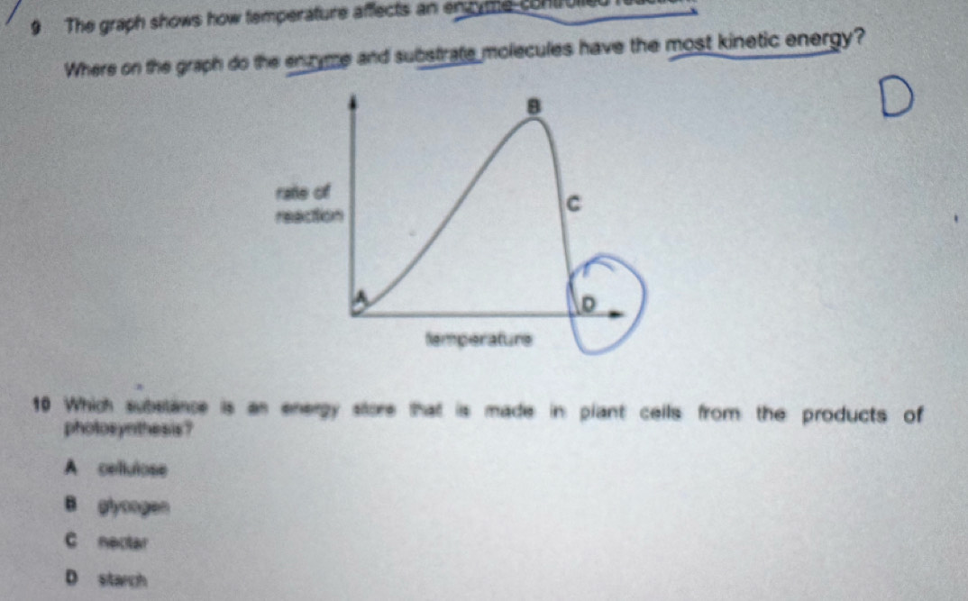 The graph shows how temperature affects an enyme contrulle
Where on the graph do the enzyme and substrate molecules have the most kinetic energy?
10 Which substance is an energy store that is made in plant cells from the products of
photosynthesis?
A cellulose
B glyoogen
C nectar
D starch