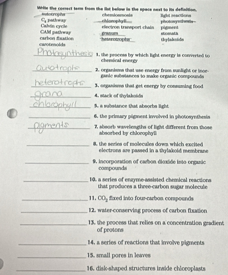 Write the correct term from the list below in the space next to its definition.
autotrophs chemiosmosis light reactions
C_4 pathway chlorophyll photosynthesis--
Calvin cycle electron transport chain pigment
CAM pathway granum stomata
carbon fixation heterotrophs thylakoids
carotenoids
_1. the process by which light energy is converted to
chemical energy
_2. organisms that use energy from sunlight or inor-
ganic substances to make organic compounds
_3. organisms that get energy by consuming food
_4. stack of thylakoids
_5. a substance that absorbs light
_6. the primary pigment involved in photosynthesis
_7. absorb wavelengths of light different from those
absorbed by chlorophyll
_8. the series of molecules down which excited
electrons are passed in a thylakoid membrane
_9. incorporation of carbon dioxide into organic
compounds
_10. a series of enzyme-assisted chemical reactions
that produces a three-carbon sugar molecule
_11. CO_2 fixed into four-carbon compounds
_12. water-conserving process of carbon fixation
_13. the process that relies on a concentration gradient
of protons
_14. a series of reactions that involve pigments
_15. small pores in leaves
_16. disk-shaped structures inside chloroplasts