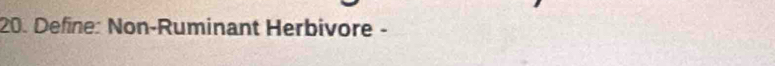 Define: Non-Ruminant Herbivore -