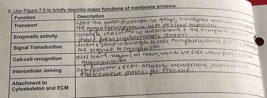 proteins.