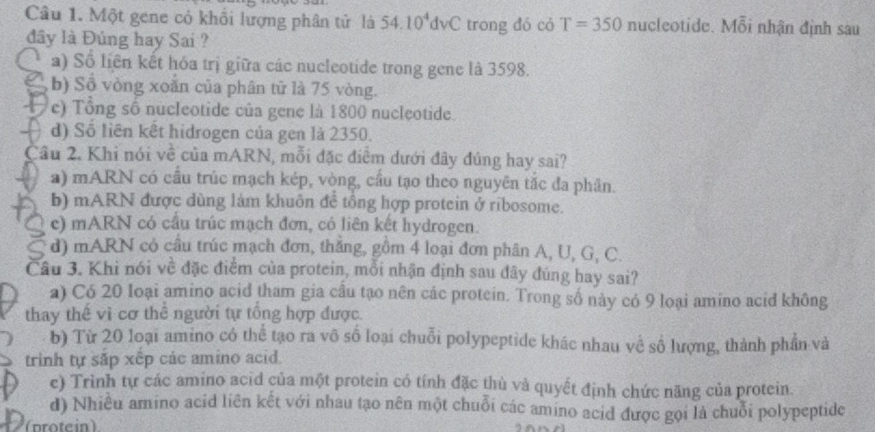 Một gene có khổi lượng phân tử là 54.10^4dvC trong đó có T=350 nucleotide. Moverline 6 i nhận định sau
đây là Đúng hay Sai ?
. a) Số liên kết hóa trị giữa các nucleotide trong gene là 3598.
a b) Số vòng xoãn của phân tử là 75 vòng.
e) Tổng số nucleotide của gene là 1800 nucleotide.
d) Số liên kết hidrogen của gen là 2350.
Câu 2. Khi nói về của mARN, mỗi đặc điểm dưới đây đúng hay sai?
a) mARN có cầu trúc mạch kép, vòng, cầu tạo theo nguyên tắc đa phân.
b) mARN được dùng làm khuôn đề tổng hợp protein ở ribosome.
e) mARN có cầu trúc mạch đơn, có liên kết hydrogen.
d) mARN có câu trúc mạch đơn, thắng, gồm 4 loại đơn phân A, U, G, C.
Câu 3. Khi nói về đặc điểm của protein, mỗi nhận định sau đây đúng hay sai?
a) Có 20 loại amino acid tham gia câu tạo nên các protein. Trong số này có 9 loại amino acid không
thay thế vì cơ thê người tự tổng hợp được.
b) Từ 20 loại amino có thể tạo ra vô số loại chuỗi polypeptide khác nhau về số lượng, thành phần và
trinh tự sắp xếp các amino acid.
e) Trình tự các amino acid của một protein có tính đặc thù và quyết định chức năng của protein.
d) Nhiều amino acid liên kết với nhau tạo nên một chuỗi các amino acid được gọi là chuỗi polypeptide
(protein)