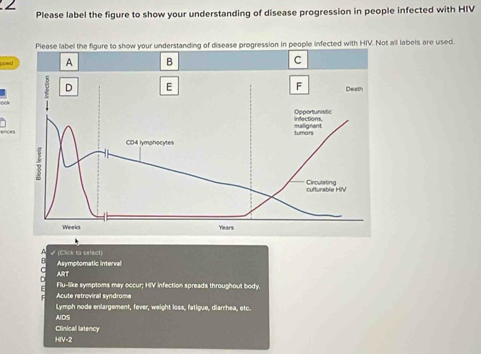 ∠
Please label the figure to show your understanding of disease progression in people infected with HIV
on in people infected with HIV. Not all labels are used.
poed
look
ences
I (Click to select)
Asymptomatic interval
ART
Flu-like symptoms may occur; HIV infection spreads throughout body.
Acute retroviral syndrome
Lymph node enlargement, fever, weight loss, fatigue, diarrhea, etc.
AIDS
Clinical latency
HIV-2