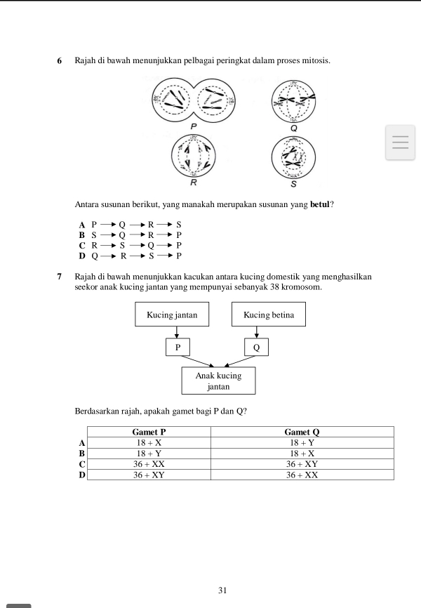 Rajah di bawah menunjukkan pelbagai peringkat dalam proses mitosis.
Antara susunan berikut, yang manakah merupakan susunan yang betul?
A P Q R S
B S Q R P
C R S Q P
D Q R S P
7 Rajah di bawah menunjukkan kacukan antara kucing domestik yang menghasilkan
seekor anak kucing jantan yang mempunyai sebanyak 38 kromosom.
Berdasarkan rajah, apakah gamet bagi P dan Q?
31