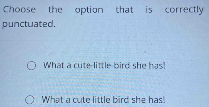 Choose the option that is correctly
punctuated.
What a cute-little-bird she has!
What a cute little bird she has!