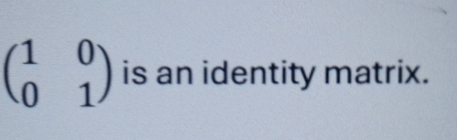 beginpmatrix 1&0 0&1endpmatrix is an identity matrix.