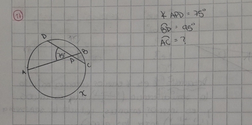 ∠ APD=75°
overline BD=95°
widehat AC= ?