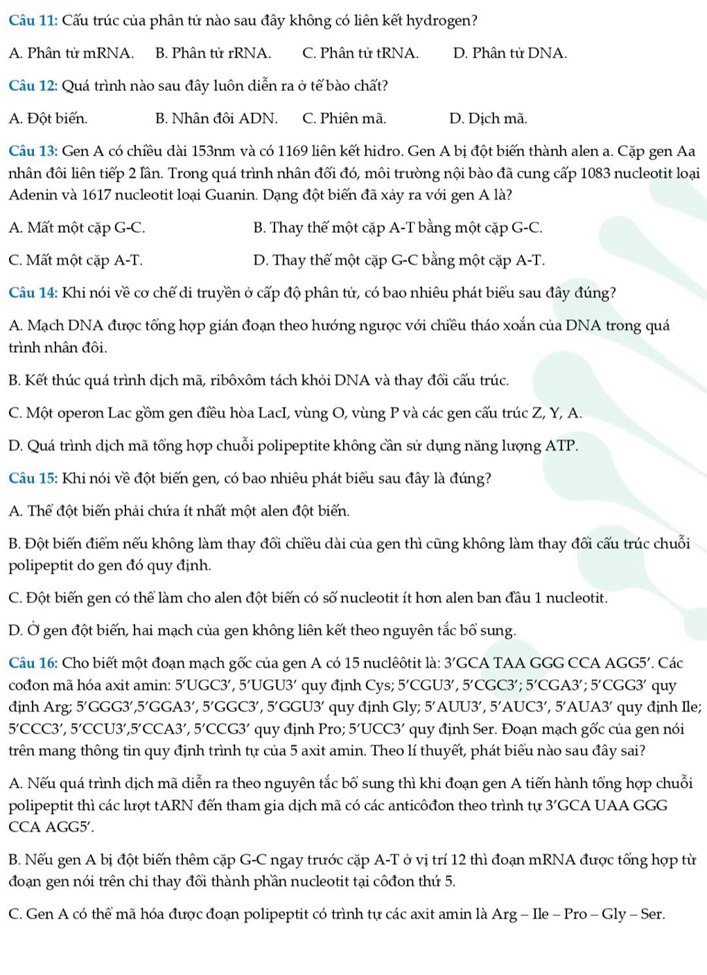 Cu 11: Cấu trúc của phân tử nào sau đây không có liên kết hydrogen?
A. Phân tử mRNA. B. Phân tử rRNA. C. Phân tử tRNA. D. Phân tử DNA.
Câu 12: Quá trình nào sau đây luôn diễn ra ở tế bào chất?
A. Đột biến. B. Nhân đôi ADN. C. Phiên mã. D. Dịch mã.
Câu 13: Gen A có chiều dài 153nm và có 1169 liên kết hidro. Gen A bị đột biến thành alen a. Cặp gen Aa
nhân đôi liên tiếp 2 lần. Trong quá trình nhân đối đó, môi trường nội bào đã cung cấp 1083 nucleotit loại
Adenin và 1617 nucleotit loại Guanin. Dạng đột biến đã xảy ra với gen A là?
A. Mất một cặp G-C. B. Thay thế một cặp A-T bằng một cặp G-C.
C. Mất một cặp A-T. D. Thay thế một cặp G-C bằng một cặp A-T.
Câu 14: Khi nói về cơ chế di truyền ở cấp độ phân tử, có bao nhiêu phát biểu sau đây đúng?
A. Mạch DNA được tổng hợp gián đoạn theo hướng ngược với chiều tháo xoắn của DNA trong quá
trình nhân đôi.
B. Kết thúc quá trình dịch mã, ribôxôm tách khỏi DNA và thay đổi cấu trúc.
C. Một operon Lac gồm gen điều hòa LacI, vùng O, vùng P và các gen cấu trúc Z, Y, A.
D. Quá trình dịch mã tổng hợp chuỗi polipeptite không cần sử dụng năng lượng ATP.
Câu 15: Khi nói về đột biến gen, có bao nhiêu phát biểu sau đây là đúng?
A. Thể đột biến phải chứa ít nhất một alen đột biến.
B. Đột biến điểm nếu không làm thay đổi chiều dài của gen thì cũng không làm thay đổi cấu trúc chuỗi
polipeptit do gen đó quy định.
C. Đột biến gen có thể làm cho alen đột biến có số nucleotit ít hơn alen ban đầu 1 nucleotit.
D. Ở gen đột biến, hai mạch của gen không liên kết theo nguyên tắc bổ sung.
Câu 16: Cho biết một đoạn mạch gốc của gen A có 15 nuclêôtit là: 3'C GCA TAA GGG CCA AGG5′. Các
cođon mã hóa axit amin: 5'UGC3’, 5′UGU 13 ' '  q u y định Cys; 5'C GU3' , 5' CGC3′; 5′CGA3'; 5'C GG3 qu
định Arg; 5’GGG3’,5’GGA3’, 5’GGC3’, 5’GGU3’ quy định Gly; 5’AUU3’, 5' AUC3´, 5′AU. A3 quy định Ile;
5'CCC3', 5' CCU3',5′CCA3′, 5'C CG3' quy định Pro; 5'UCC3 quy định Ser. Đoạn mạch gốc của gen nói
trên mang thông tin quy định trình tự của 5 axit amin. Theo lí thuyết, phát biểu nào sau đây sai?
A. Nếu quá trình dịch mã diễn ra theo nguyên tắc bổ sung thì khi đoạn gen A tiến hành tổng hợp chuỗi
polipeptit thì các lượt tARN đến tham gia dịch mã có các anticôđon theo trình tự 3'G GCA UAA GGG
CCA AGG5′.
B. Nếu gen A bị đột biến thêm cặp G-C ngay trước cặp A-T ở vị trí 12 thì đoạn mRNA được tổng hợp từ
đoạn gen nói trên chi thay đổi thành phần nucleotit tại côđon thứ 5.
C. Gen A có thể mã hóa được đoạn polipeptit có trình tự các axit amin là Arg - Ile - Pro - Gly - Ser.