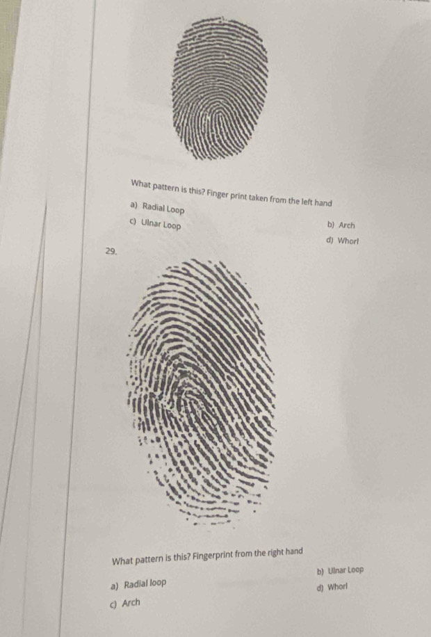 What pattern is this? Finger print taken from the left hand
a) Radial Loop
c) Ulnar Loop
b) Arch
d) Whorl
29.
What pattern is this? Fingerprint from the right hand
a) Radial loop b) Ulnar Loop
c) Arch d) Whorl