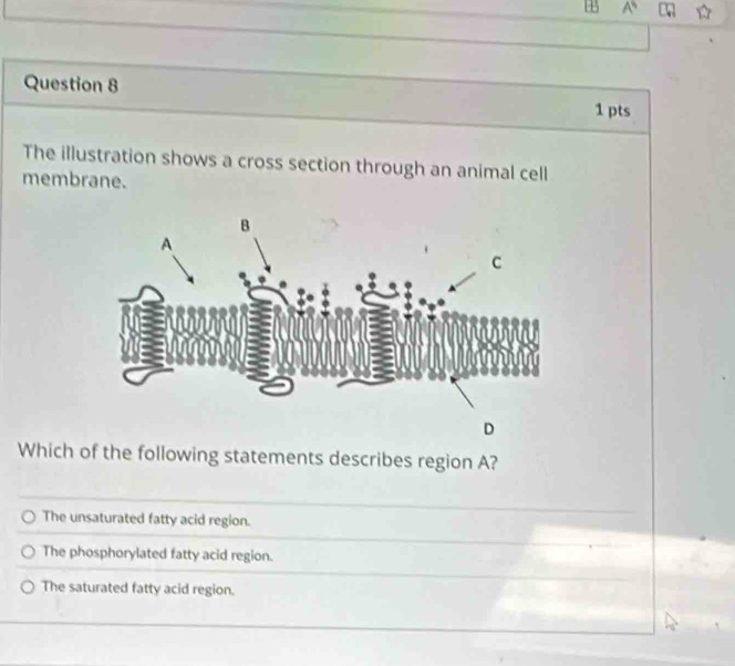 H5 A^5 
Question 8 1 pts
The illustration shows a cross section through an animal cell
membrane.
D
Which of the following statements describes region A?
The unsaturated fatty acid region.
The phosphorylated fatty acid region.
The saturated fatty acid region.