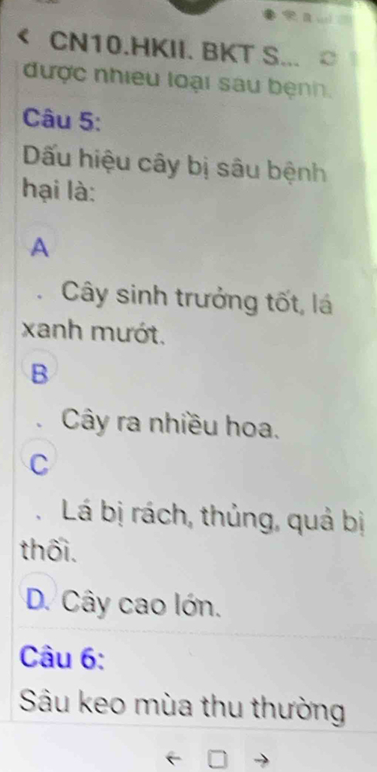 CN10.HKII. BKT S... 
được nhiều loại sau bệnh.
Câu 5:
Dấu hiệu cây bị sâu bệnh
hại là:
A
Cây sinh trưởng tốt, lá
xanh mướt,
B
Cây ra nhiều hoa.
C
Lá bị rách, thủng, quả bị
thối.
D. Cây cao lớn.
Câu 6:
Sâu keo mùa thu thường