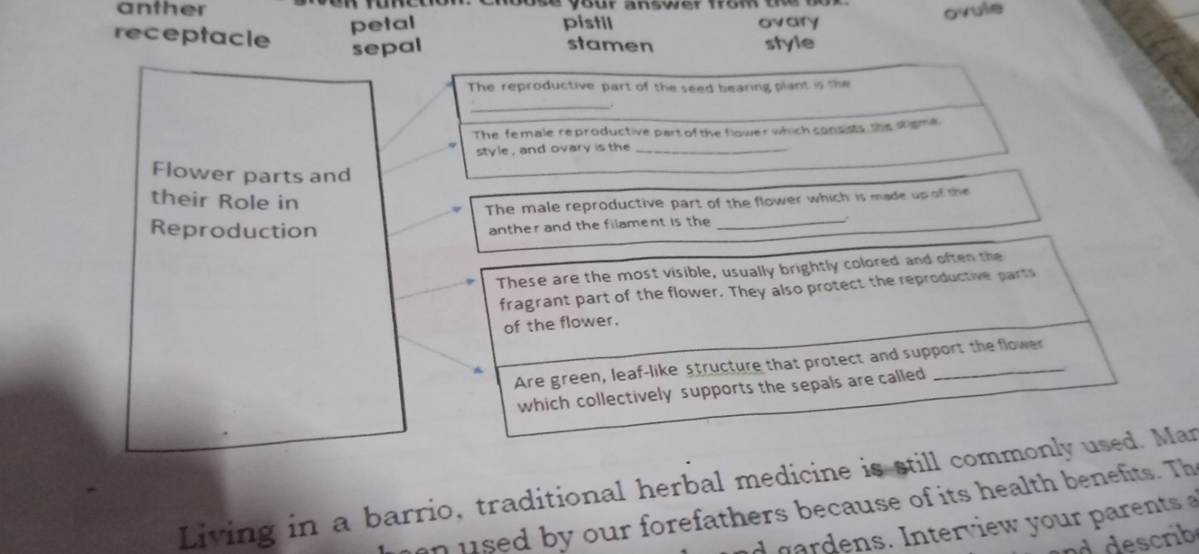 anther cnbose your answer from te bok 
petal pistil ovary ovule 
receptacle sepal stamen style 
The reproductive part of the seed bearing plant is the 
__ 
The female reproductive part of the flower which consists, the stigma 
style , and ovary is the_ 
Flower parts and 
their Role in 
The male reproductive part of the flower which is made up of the 
Reproduction 
anther and the filament is the_ 
These are the most visible, usually brightly colored and often the 
fragrant part of the flower. They also protect the reproductive parts 
of the flower. 
Are green, leaf-like structure that protect and support the flower 
which collectively supports the sepals are called 
Living in a barrio, traditional herbal medicine is still commonly used. Man 
sed by our forefathers because of its health benefits. Th 
g ar e s nter iew your parents 
escrib