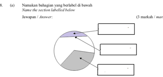 Namakan bahagian yang berlabel di bawah 
Name the section labelled below 
Jawapan / Answer: (3 markah / mar