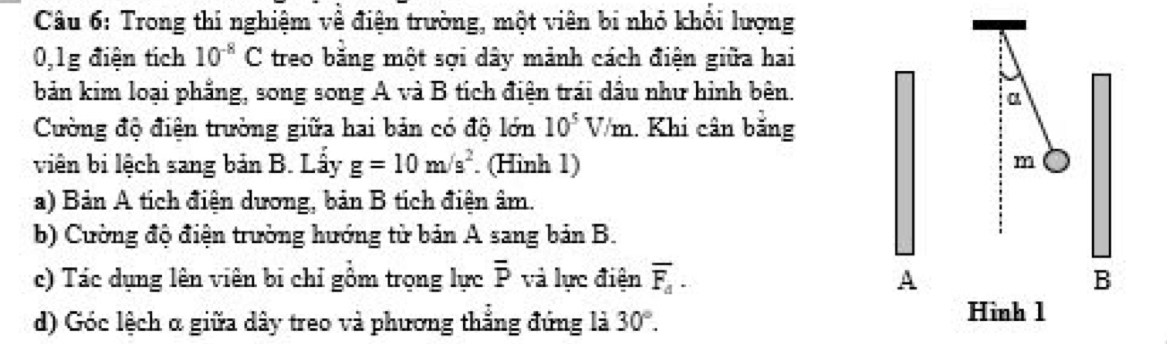 Trong thi nghiệm về điện trường, một viên bi nhỏ khổi lượng
0,1g điện tích 10^(-8)C treo băng một sợi dây mảnh cách điện giữa hai 
bản kim loại phẳng, song song A và B tích điện trái dầu như hình bên. 
a 
Cường độ điện trường giữa hai bản có độ lớn 10^5V/m. Khi cân băng 
viên bi lệch sang bản B. Lấy g=10m/s^2. (Hinh 1) m
a) Bản A tích điện dương, bản B tích điện âm. 
b) Cường độ điện trường hướng từ bản A sang bản B. 
c) Tác dụng lên viên bi chỉ gồm trọng lực overline P và lực điện overline F_a· A B
d) Góc lệch α giữa dây treo và phương thắng đứng là 30°. 
Hình 1