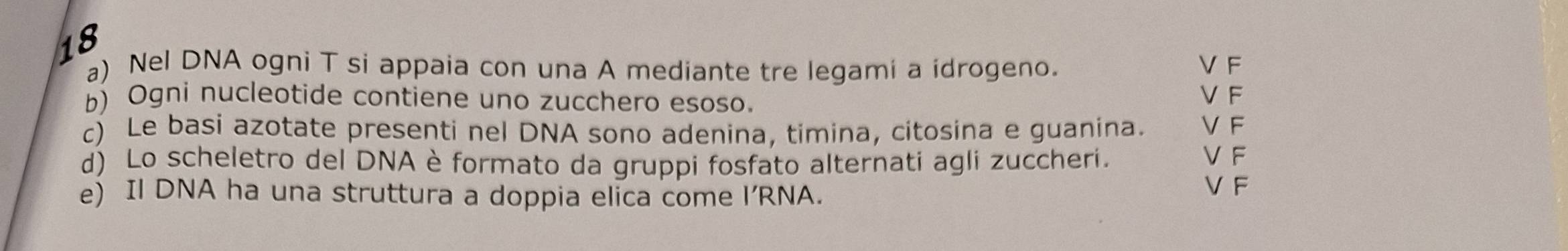 Nel DNA ogni T si appaia con una A mediante tre legami a idrogeno. VF
b) Ogni nucleotide contiene uno zucchero esoso. V F
c) Le basi azotate presenti nel DNA sono adenina, timina, citosina e guanina. V F
d) Lo scheletro del DNA è formato da gruppi fosfato alternati agli zuccheri.
VF
e) Il DNA ha una struttura a doppia elica come l’RNA.
V F