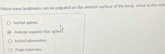 Which bony landmarks can be palpated on the anterior surface of the body, close to the mid
Ischial spines
Anterior superior iliac spines
Ischial tuberosities
Pubic tubercles