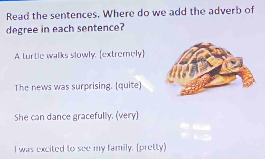 Read the sentences. Where do we add the adverb of
degree in each sentence?
A turtle walks slowly. (extremely)
The news was surprising. (quite)
She can dance gracefully. (very)
I was excited to see my family. (pretly)