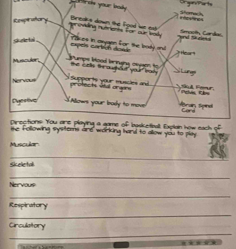 Otgor/Parts 
a cntrols your body . 
ing systems are working hard to allow you to play. 
Muscular 
_ 
Skeletab 
_ 
Nervous 
_ 
Respiratory 
_ 
Circulatory 
_