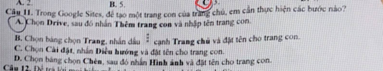 A. 2 B. 5. 
Câu 11. Trong Google Sites, để tạo một trang con của trang chủ, em cần thực hiện các bước nào?
A. Chọn Drive, sau đó nhân Thêm trang con và nhập tên trang con
B. Chọn bảng chọn Trang, nhân dầu : cạnh Trang chủ và đặt tên cho trang con.
C. Chọn Cài đặt, nhân Điều hướng và đặt tên cho trang con.
D. Chọn bảng chọn Chén, sau đó nhân Hình ảnh và đặt tên cho trang con.
Câu 12. Đề tra k n