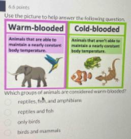 Use the picture to help answer the
Which groups of animals are considered warm blooded?
reptiles, fin, and amphibians
reptiles and fish
only birds
birds and mammals