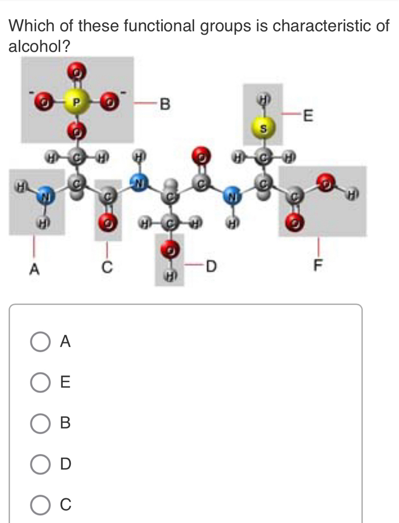 Which of these functional groups is characteristic of
alcohol?
A
E
B
D
C