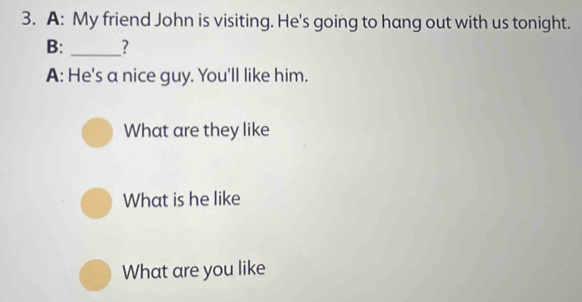 A: My friend John is visiting. He's going to hang out with us tonight. 
B: _? 
A: He's a nice guy. You'll like him. 
What are they like 
What is he like 
What are you like