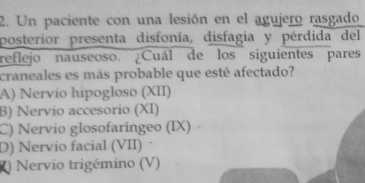 Un paciente con una lesión en el agujero rasgado
posterior presenta disfonía, disfagia y pérdida del
reflejo nauseoso. ¿Cuál de los siguientes pares
craneales es más probable que esté afectado?
A) Nervio hipogloso (XII)
B) Nervio accesorio (XI)
C) Nervio glosofaríngeo (IX)
D) Nervio facial (VII)
) Nervio trigémino (V)