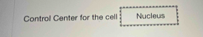 Control Center for the cell Nucleus