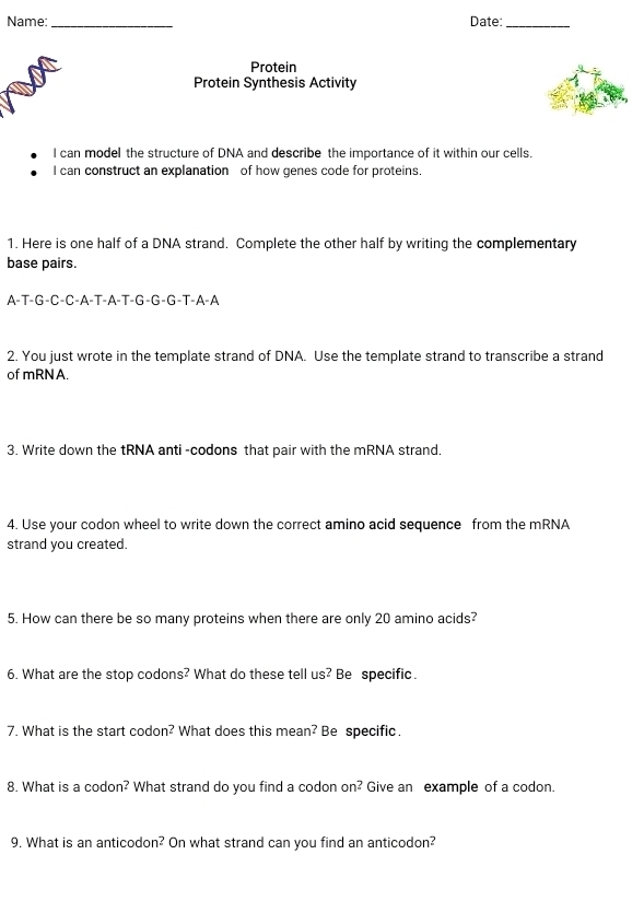 Name:_ Date:_ 
Protein 
Protein Synthesis Activity 
I can model the structure of DNA and describe the importance of it within our cells. 
I can construct an explanation of how genes code for proteins. 
1. Here is one half of a DNA strand. Complete the other half by writing the complementary 
base pairs. 
A-T-G-C-C-A-T-A-T-G-G-G-T-A-A 
2. You just wrote in the template strand of DNA. Use the template strand to transcribe a strand 
of mRNA. 
3. Write down the tRNA anti -codons that pair with the mRNA strand. 
4. Use your codon wheel to write down the correct amino acid sequence from the mRNA 
strand you created. 
5. How can there be so many proteins when there are only 20 amino acids? 
6. What are the stop codons? What do these tell us? Be specific. 
7. What is the start codon? What does this mean? Be specific. 
8. What is a codon? What strand do you find a codon on? Give an example of a codon. 
9. What is an anticodon? On what strand can you find an anticodon?