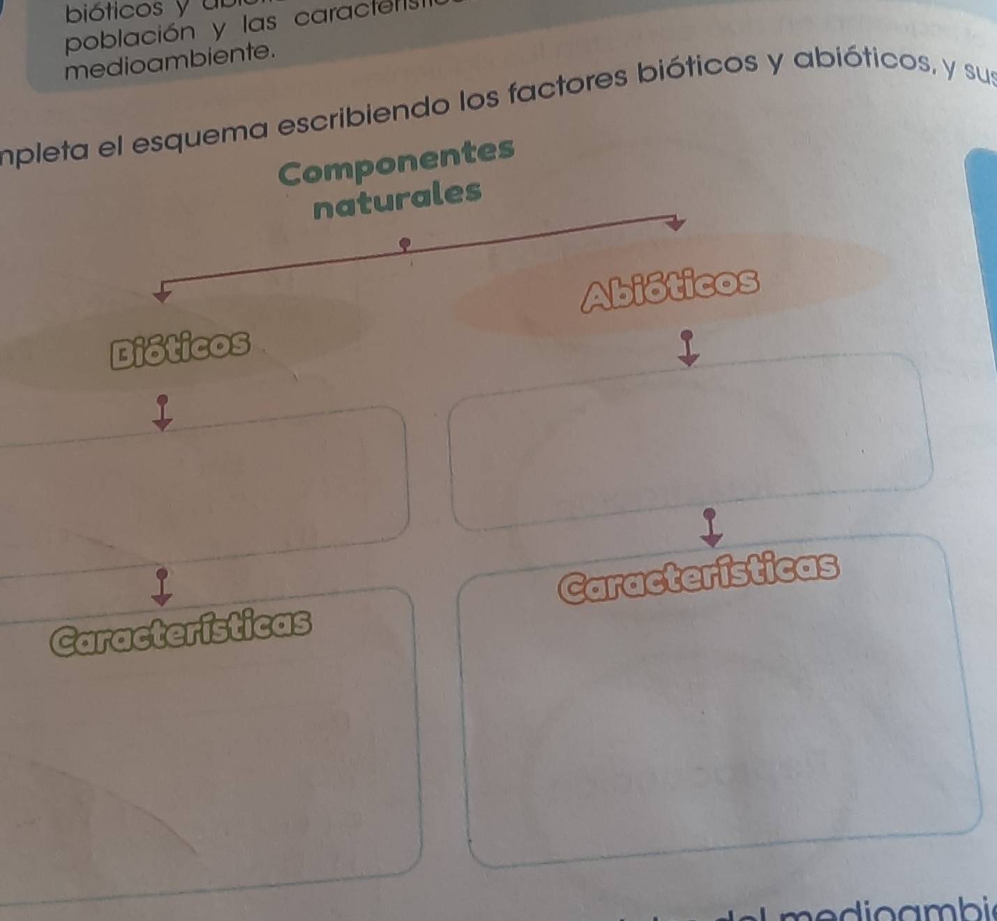 bióticos y ub 
población y las caracte s 
medioambiente. 
impleta el esquema escribiendo los factores bióticos y abióticos, y sus 
Componentes 
naturales 
biot s 
6 
Características Características