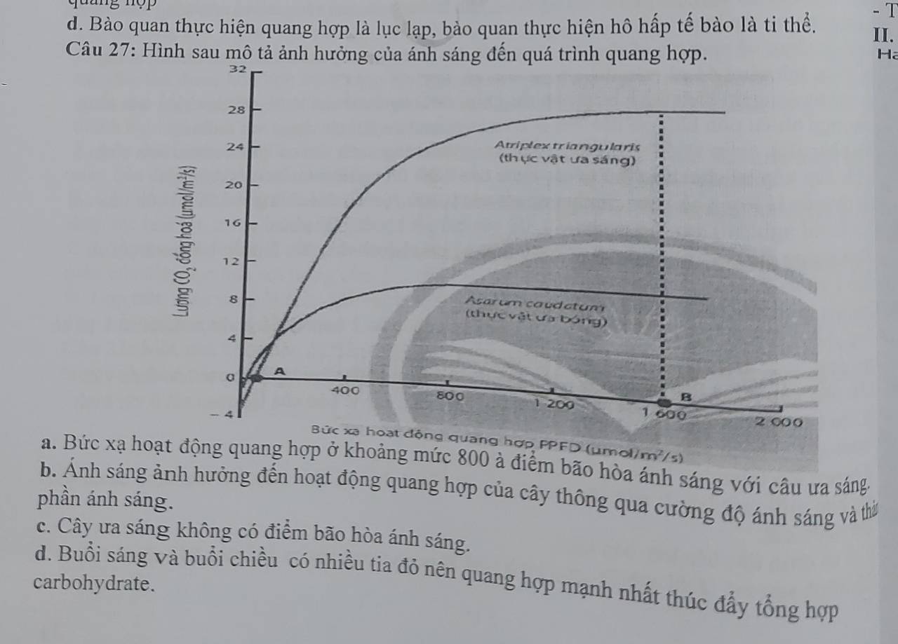 quang nợp
d. Bào quan thực hiện quang hợp là lục lạp, bảo quan thực hiện hô hấp tế bào là ti thể. II. - T
Câu 27: Hình sau mô tả ảnh hưởng của ánh sáng đến quá trình quang hợp. Ha
Bức xa hoạt động quang hợp PPFD (µmol/m²/s)
a. Bức xạ hoạt động quang hợp ở khoảng mức 800 à điểm bão hòa ánh sáng với câu ưa sáng.
b. Ảnh sáng ảnh hưởng đến hoạt động quang hợp của cây thông qua cường độ ánh sáng và thờ
phần ánh sáng.
c. Cây ưa sáng không có điểm bão hòa ánh sáng.
d. Buổi sáng và buổi chiều có nhiều tia đỏ nên quang hợp mạnh nhất thúc đẩy tổng hợp
carbohydrate.