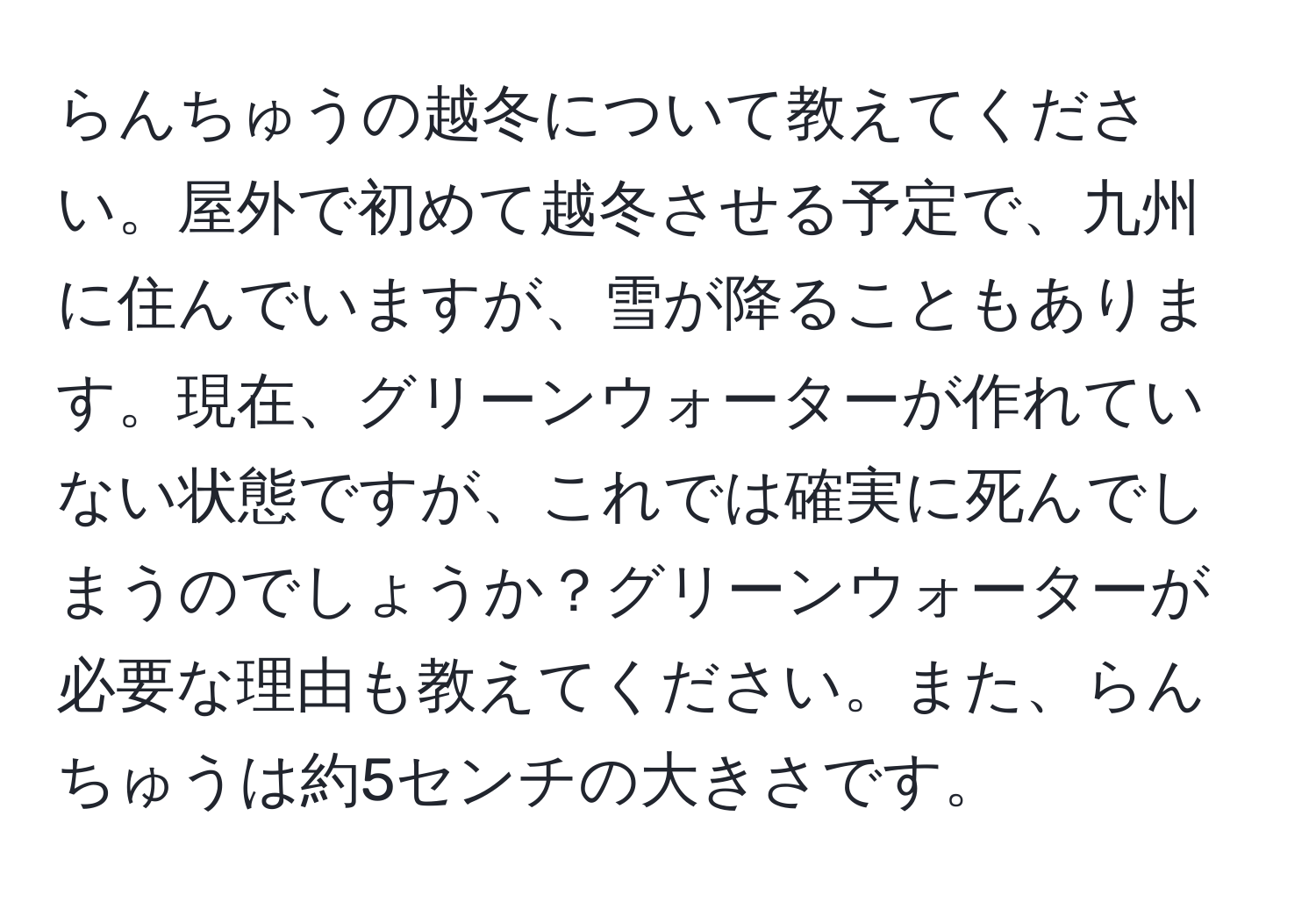 らんちゅうの越冬について教えてください。屋外で初めて越冬させる予定で、九州に住んでいますが、雪が降ることもあります。現在、グリーンウォーターが作れていない状態ですが、これでは確実に死んでしまうのでしょうか？グリーンウォーターが必要な理由も教えてください。また、らんちゅうは約5センチの大きさです。