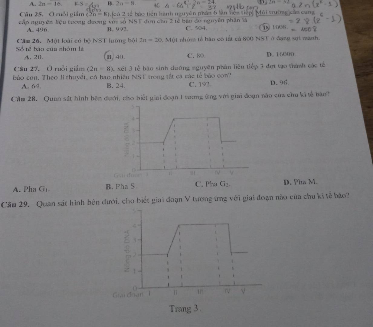 A. 2n=16. B. 2n=8. C C. 2n=24
D 2n=32
Câu 25. Ở ruồi giấm (2n=8) [có 2 tế bào tiến hành nguyên phân 6 lần liễn tiếp] Mội trường cả
cấp nguyên liệu tương đương với số NST đơn cho 2 tế bào đó nguyên phân là
A. 496. B. 992. C. 504. D 1008
Câu 26. Một loài có bộ NST lưỡng bội 2n=20.Mhat Q t nhóm tế bào có tất cả 800 NST ở đạng sợi mảnh.
Số tế bảo của nhóm là
A. 20. B. 40. C. 80. D. 16000.
Câu 27. Ở ruồi giấm (2n=8) xét 3 tế bào sinh dưỡng nguyên phân liên tiếp 3 đợt tạo thành các tế
bào con. Theo lí thuyết, có bao nhiêu NST trong tất cá các tế bào con?
A. 64. B. 24. C. 192. D. 96
Câu 28. Quan sát hình bên dưới, cho biết giai đoạn I tương ứng với giai đoạn nào của chu kỉ tế bảo?
4
3
5 1
Guu đoạn 1
IV V
A. Pha G_1. B. Pha S. C. Pha G_2.
D. Pha M.
Câu 29. Quan sát hình bên dưới. cho biết giai đoạn V tương ứng với giai đoạn nào của chu kỉ tế bảo?
3
2
1
O
Giai đoạn 1 u 111 IV V
Trang 3.