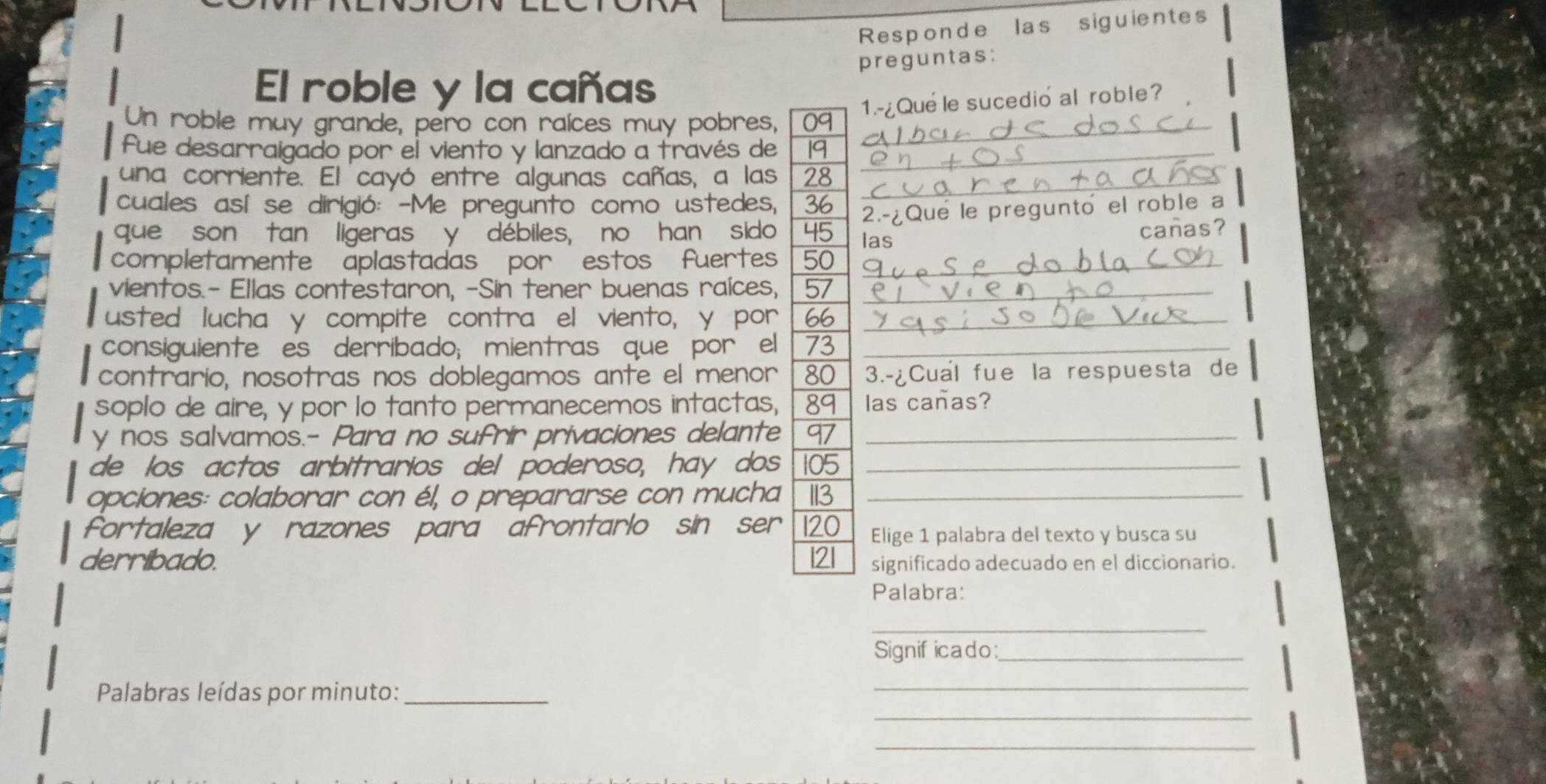 Responde las siguientes 
preguntas: 
El roble y la cañas 
1.-¿Que le sucedio al roble? 
a roble muy grande, pero con raíces muy pobres, _ 
fue desarraigado por el viento y lanzado a través de _ 
una corriente. El cayó entre algunas cañas, a las _ 
cuales así se dirigió: -Me pregunto como ustedes, 
2.-¿Que le pregunto el roble a 
que son tan ligeras y débiles, no han sido las 
cañas? 
completamente aplastadas por estos fuertes _ 
vientos.- Ellas contestaron, -Sin tener buenas raíces, _ 
usted lucha y compite contra el viento, y por _ 
consiguiente es derribado; mientras que por el _ 
contrario, nosotras nos doblegamos ante el menor 3.-¿Cual fue la respuesta de 
soplo de aire, y por lo tanto permanecemos intactas, las cañas? 
y nos salvamos.- Para no sufrir privaciones delante _ 
de los actos arbitrarios del poderoso, hay dos _ 
opciones: colaborar con él, o prepararse con mucha _ 
fortaleza y razones para afrontarlo sin ser Elige 1 palabra del texto y busca su 
derribado. significado adecuado en el diccionario. 
Palabra: 
_ 
Signif icado:_ 
_ 
_ 
Palabras leídas por minuto:_ 
_