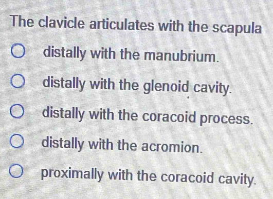 Solved: The clavicle articulates with the scapula distally with the ...