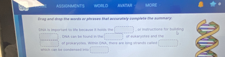 ASSIGNMENTS WORLD AVATAR MORE 
Drag and drop the words or phrases that accurately complete the summary. 
DNA is important to life because it holds the , or instructions for building 
. DNA can be found in the of eukaryotes and the 
of prokaryotes. Within DNA, there are long strands called 
which can be condensed into