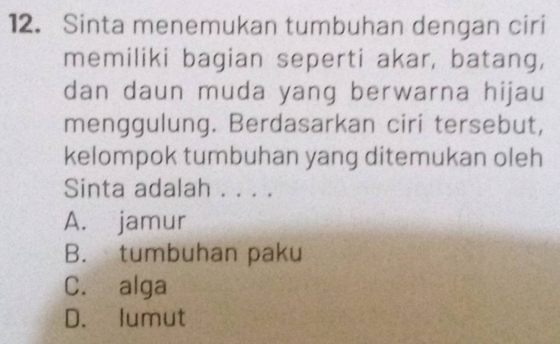 Sinta menemukan tumbuhan dengan ciri
memiliki bagian seperti akar, batang,
dan daun muda yang berwarna hijau
menggulung. Berdasarkan ciri tersebut,
kelompok tumbuhan yang ditemukan oleh
Sinta adalah . . . .
A. jamur
B. tumbuhan paku
C. alga
D. lumut